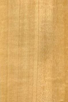 杨智文