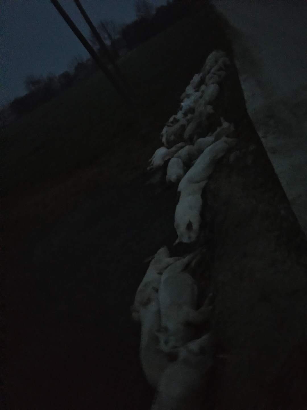 美丽乡村
