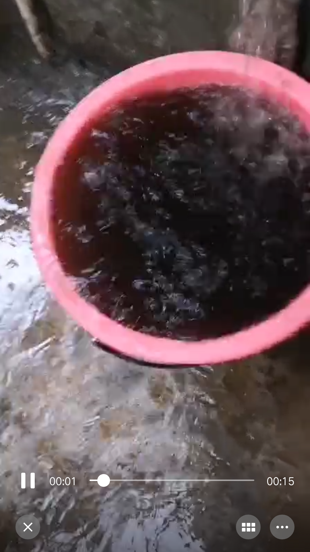 晚风
