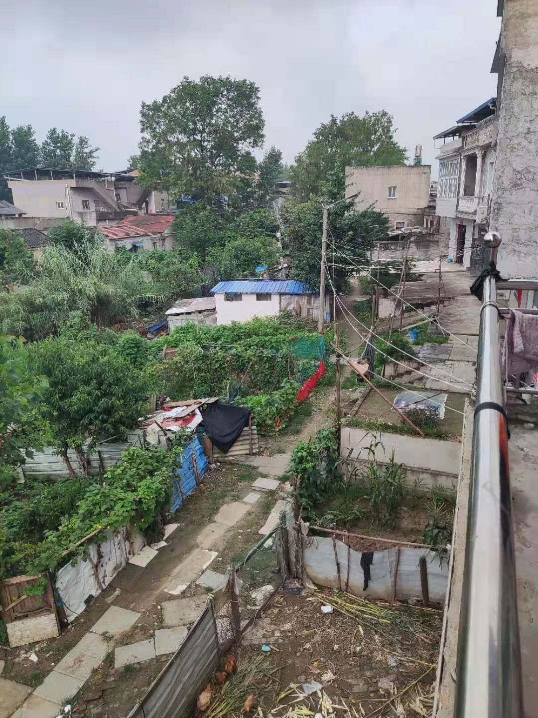 李先生