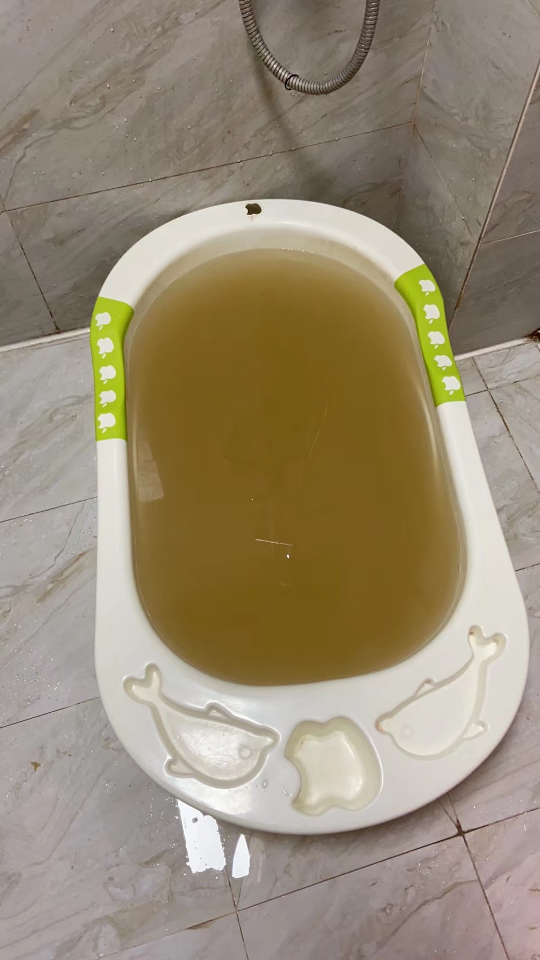 世纪城a区